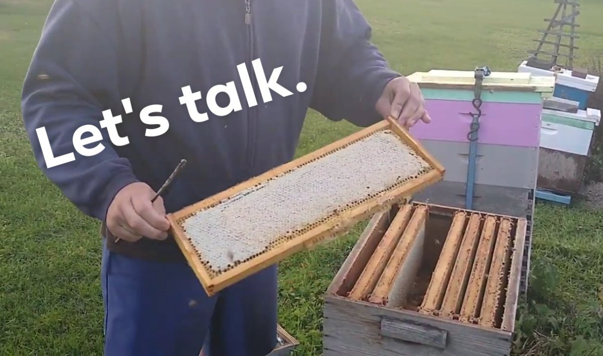 The difference between colony “death” and “loss”.